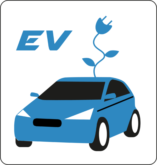 EV blue with flower Point